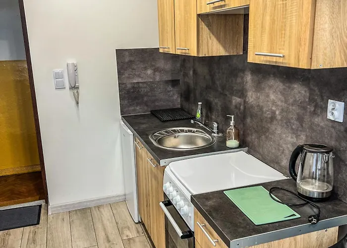 شقة Centrum Lubienskiego *